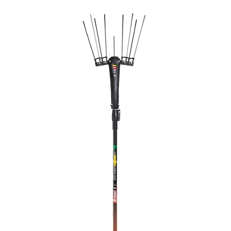 Vareador Brumi Etna telescópica 12V